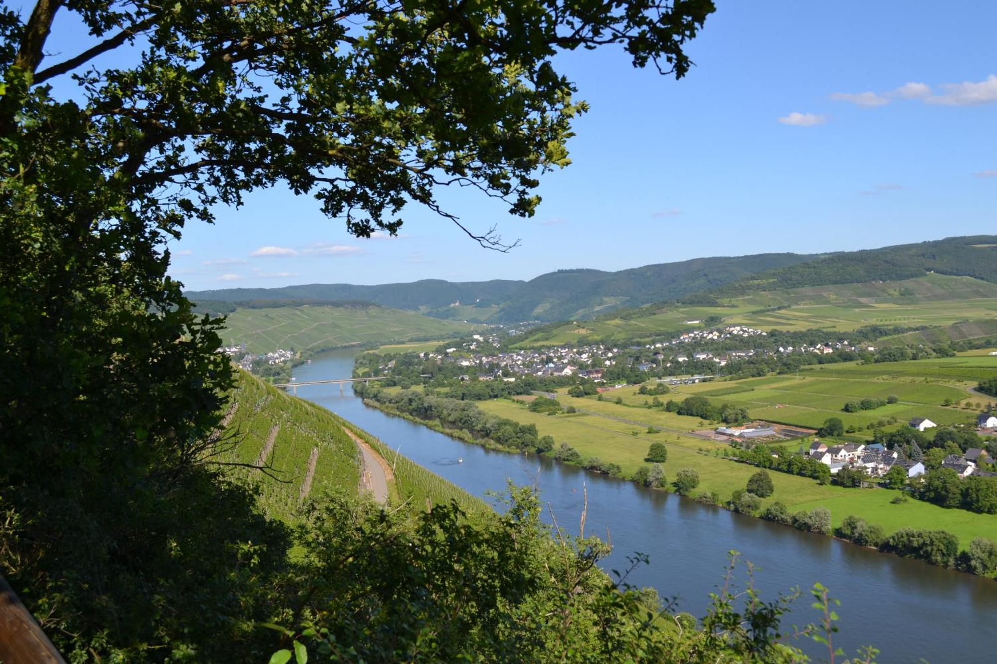 Weingut Mathy-Schanz Osann-Monzel Esterno foto
