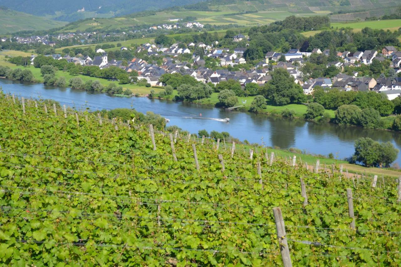 Weingut Mathy-Schanz Osann-Monzel Esterno foto